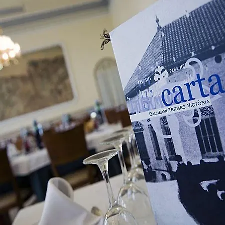 Hotel Balneari Termes Victòria 3*